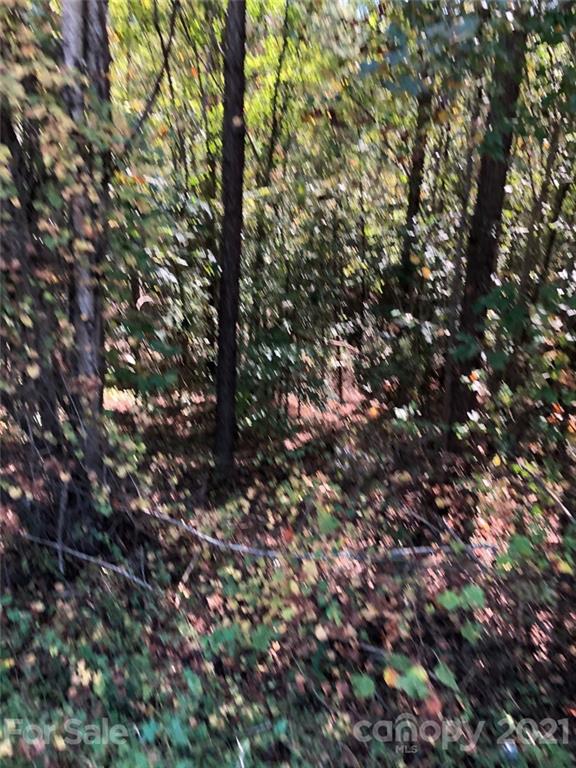 0 Everett Chappell Road Mount Gilead, NC 27306 - Photo 6 of 16 Gallery Image 6