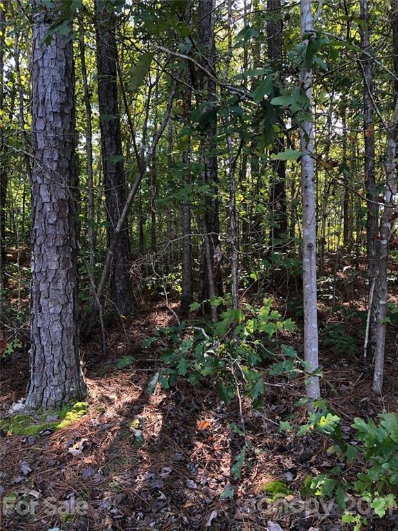 0 Everett Chappell Road Mount Gilead, NC 27306 - Photo 7 of 16 Gallery Image 7