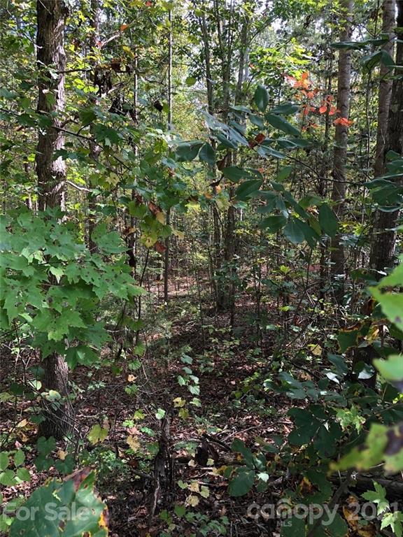 0 Everett Chappell Road Mount Gilead, NC 27306 - Photo 8 of 16 Gallery Image 8