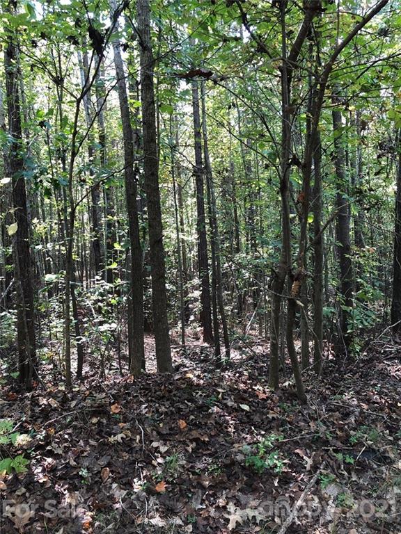 0 Everett Chappell Road Mount Gilead, NC 27306 - Photo 10 of 16 Gallery Image 10