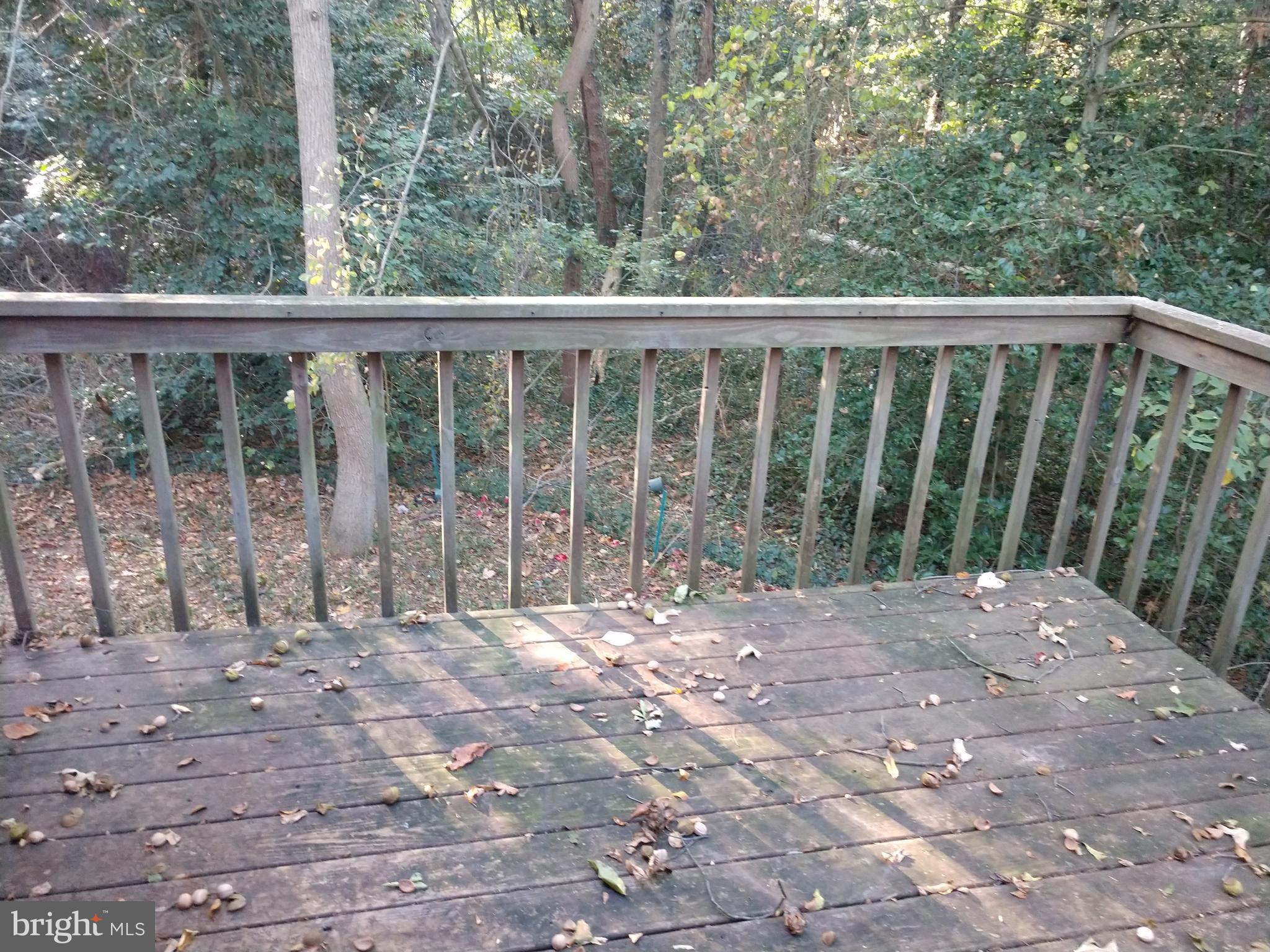 106 Tamarack Road Chestertown, MD 21620 - Photo 10 of 13 Back Deck