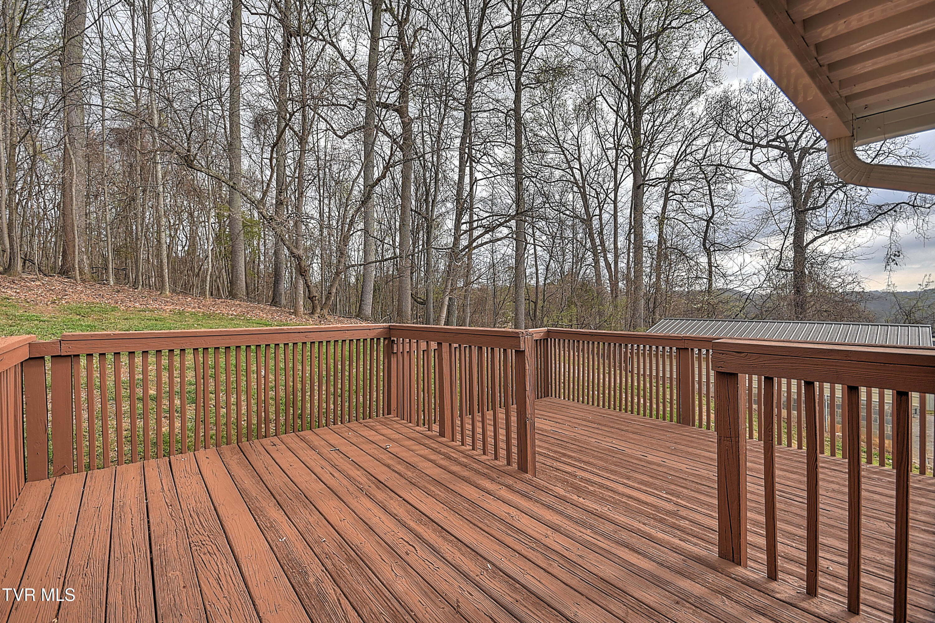 148 Whitehills Road Kingsport, TN 37660 - Photo 43 of 58 148 Whitehills ES-40