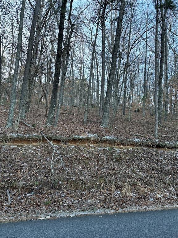 1148 Cokers Chapel Road Ball Ground, GA 30107 - Photo 2 of 3 a view of outdoor space with trees