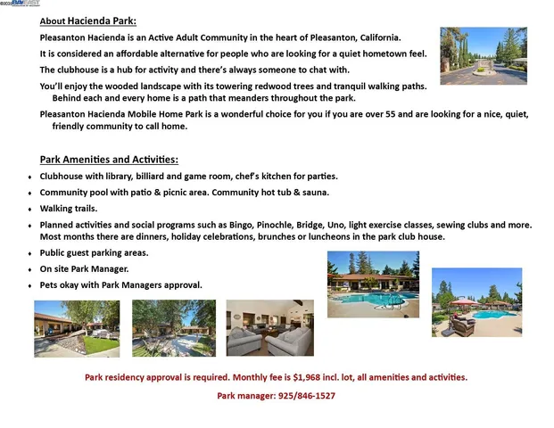 a view of a park with plants and trees