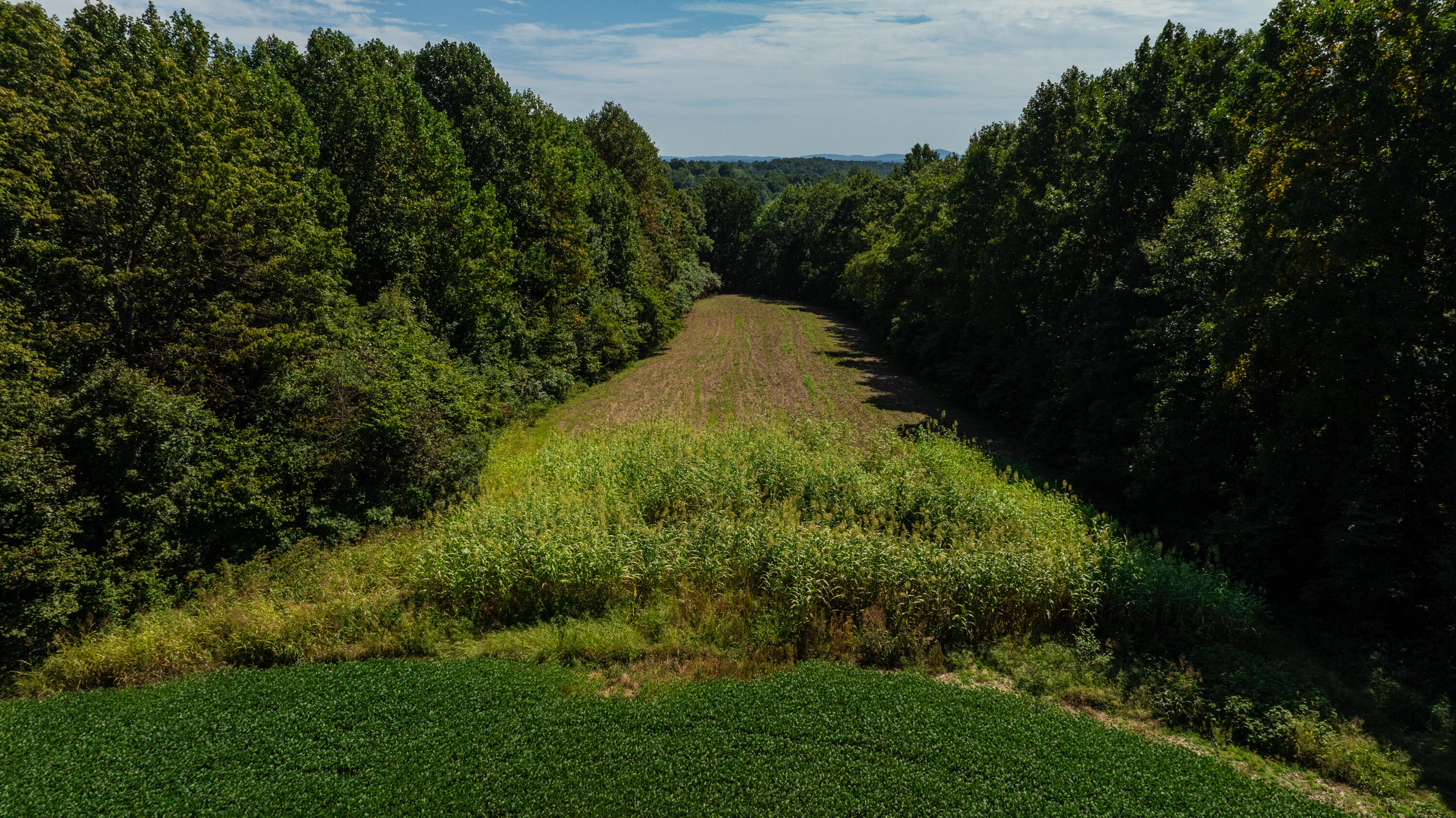 0 Hwy 206 / Ewing Ridge Road Dunnville, KY 42528 - Photo 21 of 23 Robertson-Holt Property (56 of 59)