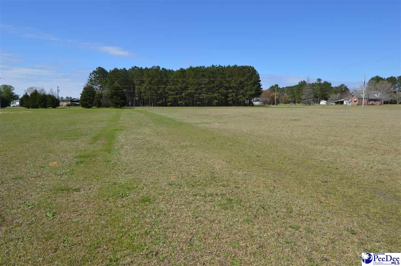 1.4-acres Antioch Road Hartsville, SC 29550 - Photo 1 of 1 Gallery Image 1
