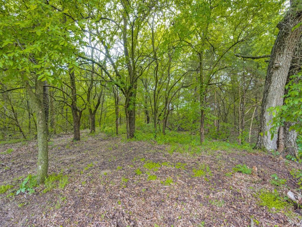 3517 Sandusky Road Whitesboro, TX 76273 - Photo 16 of 19 a view of a forest with trees in the background