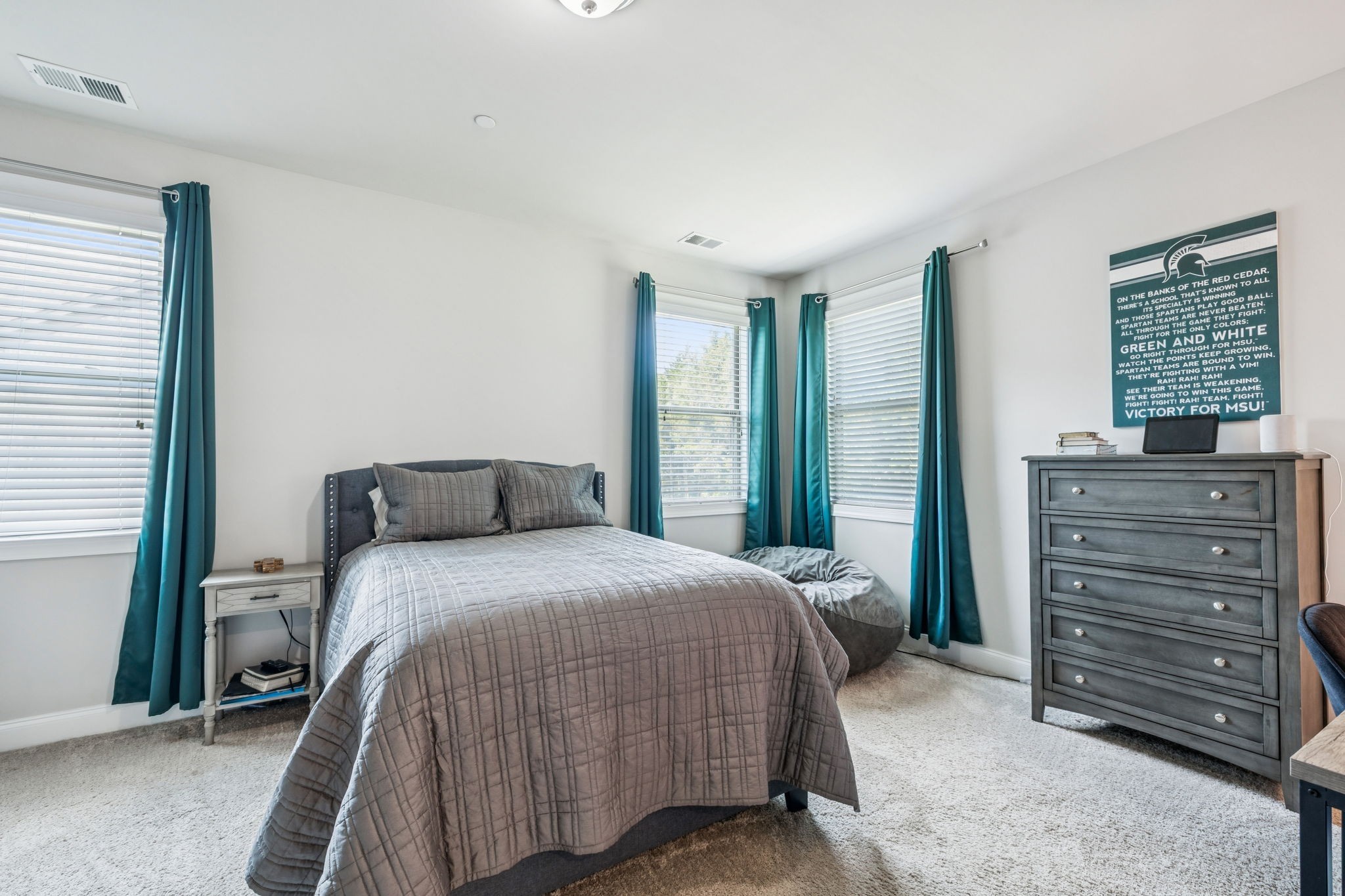 737 Alameda Avenue Nolensville, TN 37135 - Photo 29 of 55 a bedroom with a bed and a dresser