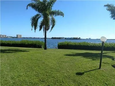 a view of a garden with a palm tree