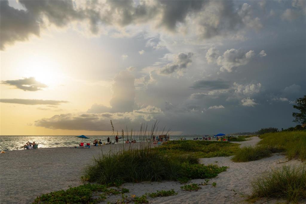 433 Tremingham Way Venice, FL 34293 - Photo 94 of 95