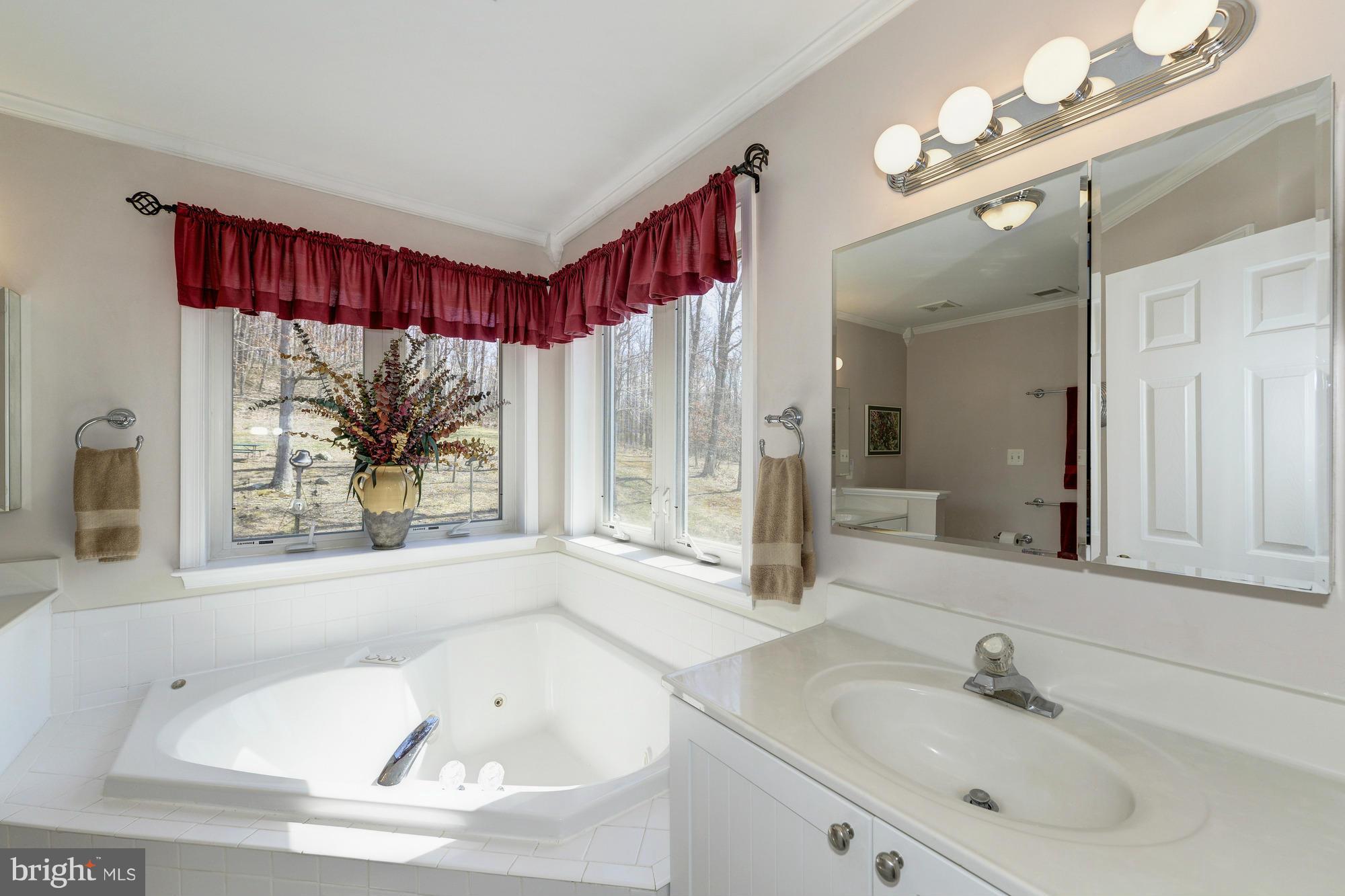 9741 Crest Hill Road Marshall, VA 20115 - Photo 18 of 30 Bath (Master)