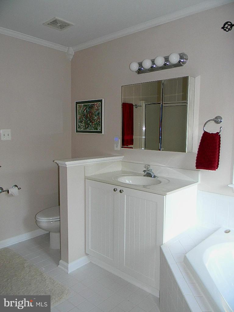 9741 Crest Hill Road Marshall, VA 20115 - Photo 19 of 30 Bath (Master)