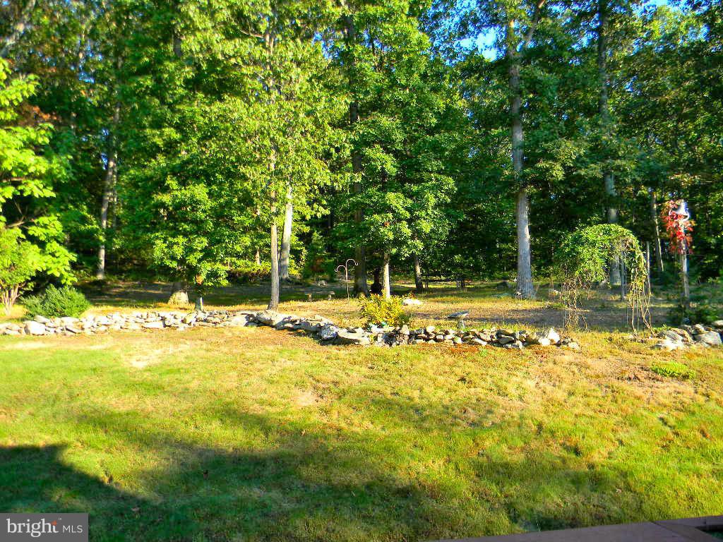 9741 Crest Hill Road Marshall, VA 20115 - Photo 26 of 30 Exterior (Rear)