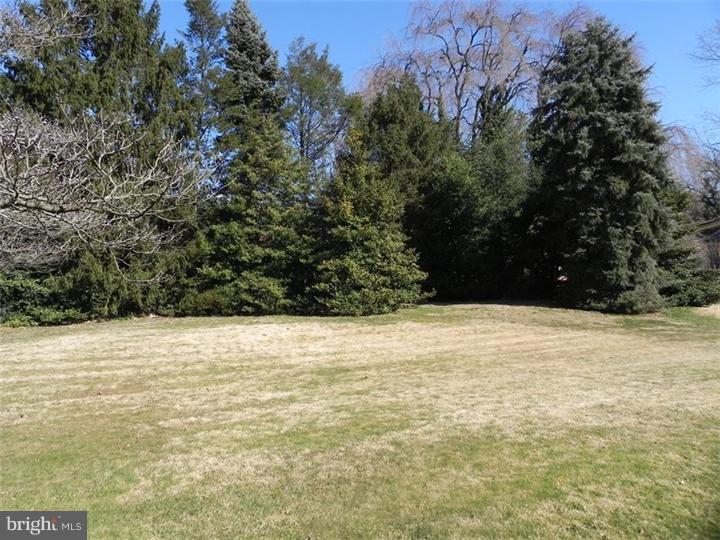 2931 Duncan Road Wilmington, DE 19808 - Photo 5 of 20 Back Yard