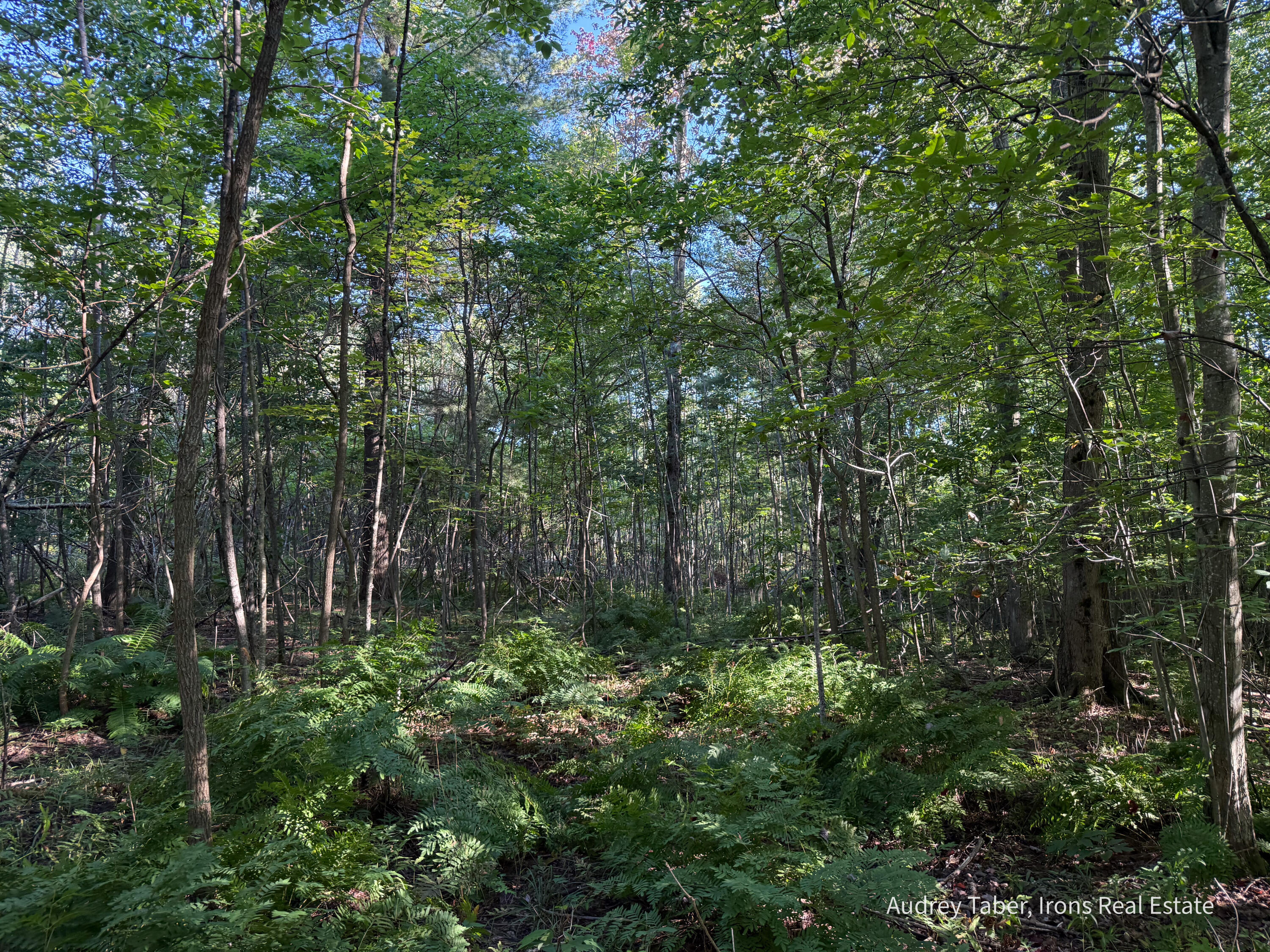3 Clements Road Kaleva, MI 49645 - Photo 28 of 38 ClementsRd-157