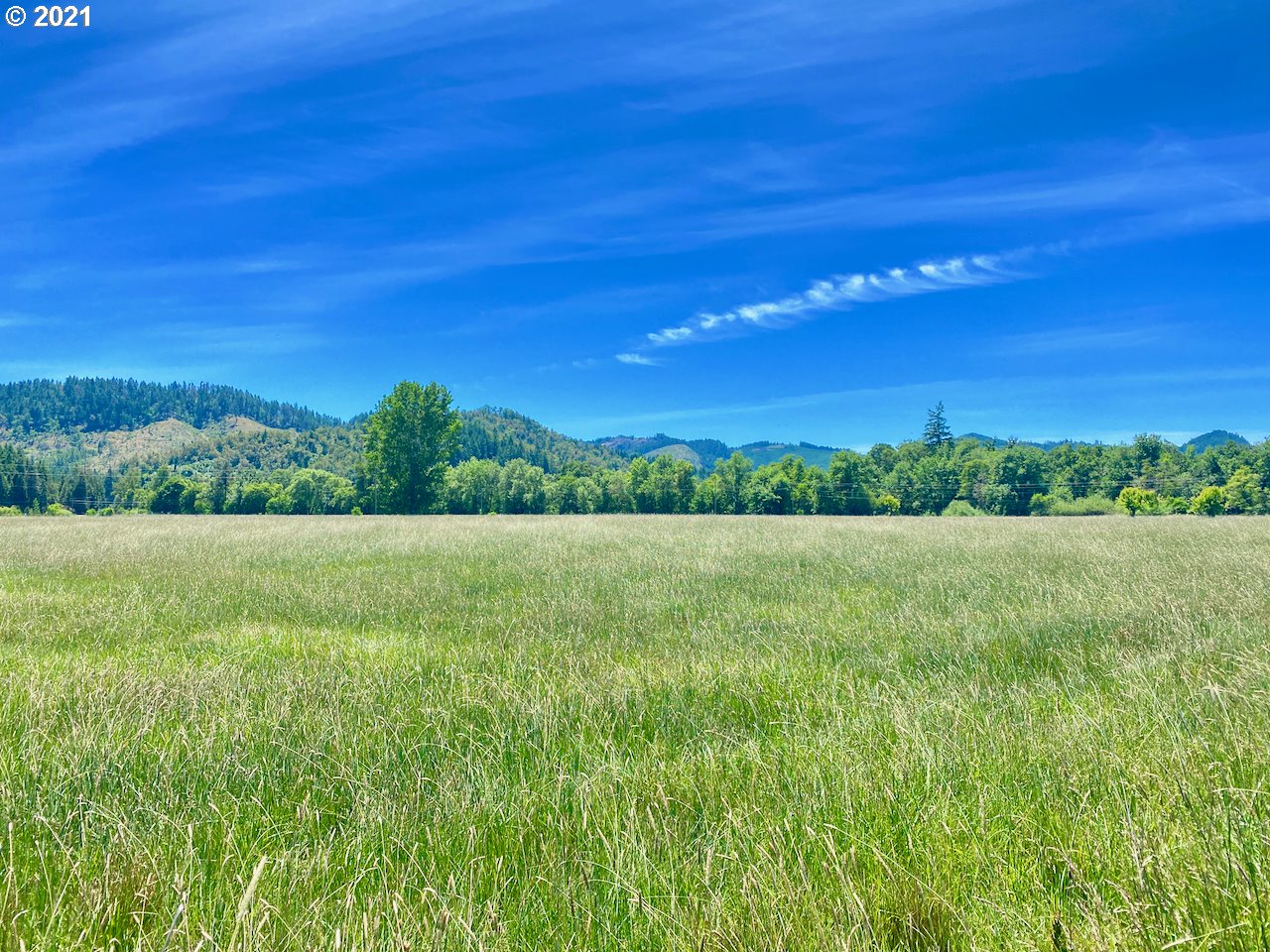 8820 Lookingglass Road Roseburg, OR 97471 - Photo 3 of 28 Gallery Image 3