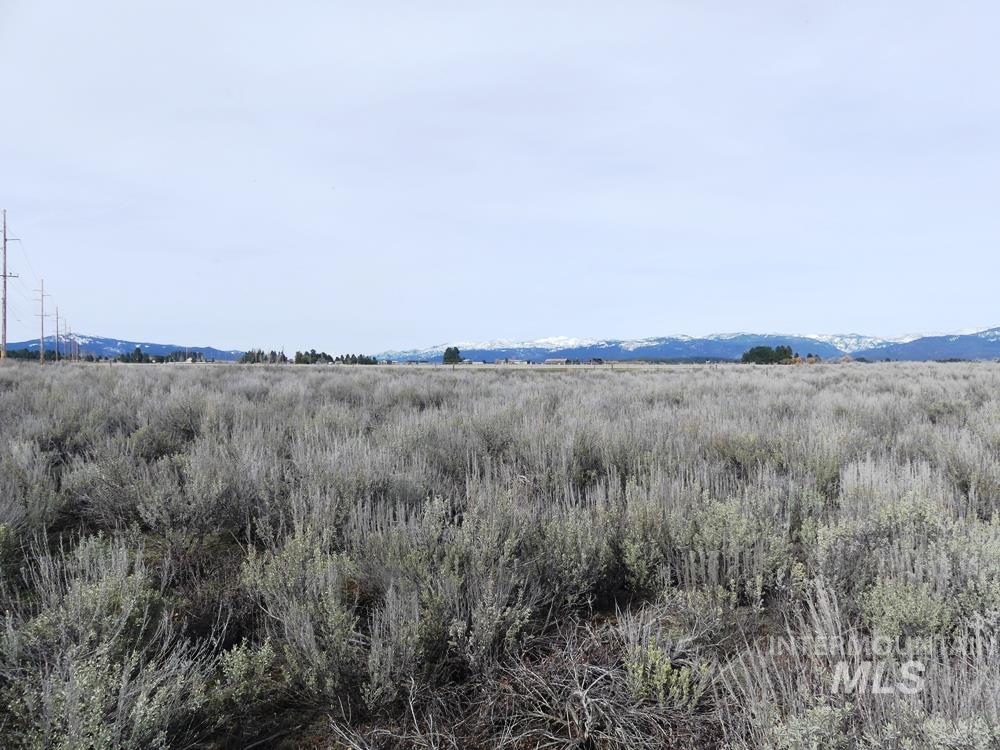 Lot 38 Nisula Road McCall, ID 83638 - Photo 27 of 27