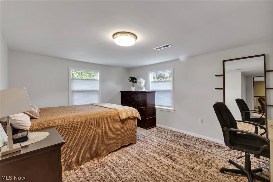 8704 Columbia Road Olmsted Falls, OH 44138 - Photo 20 of 34 Carpeted room with white walls, featuring two windows, a ceiling-mounted light fixture, and a wall-mounted mirror