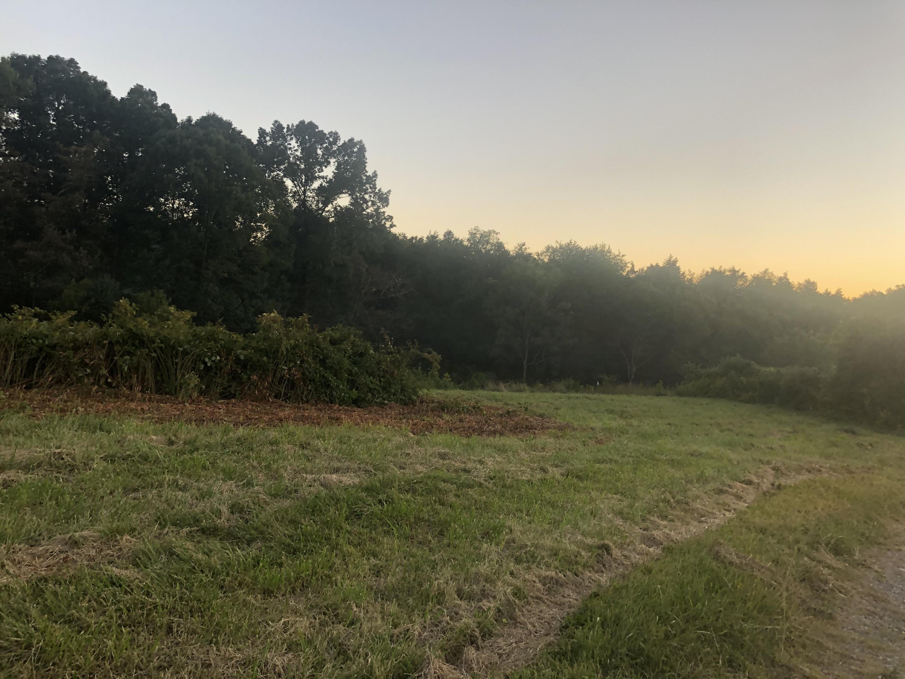 Tbd Kitzmiller Road Gray, TN 37615 - Photo 1 of 4 Kitzmiller