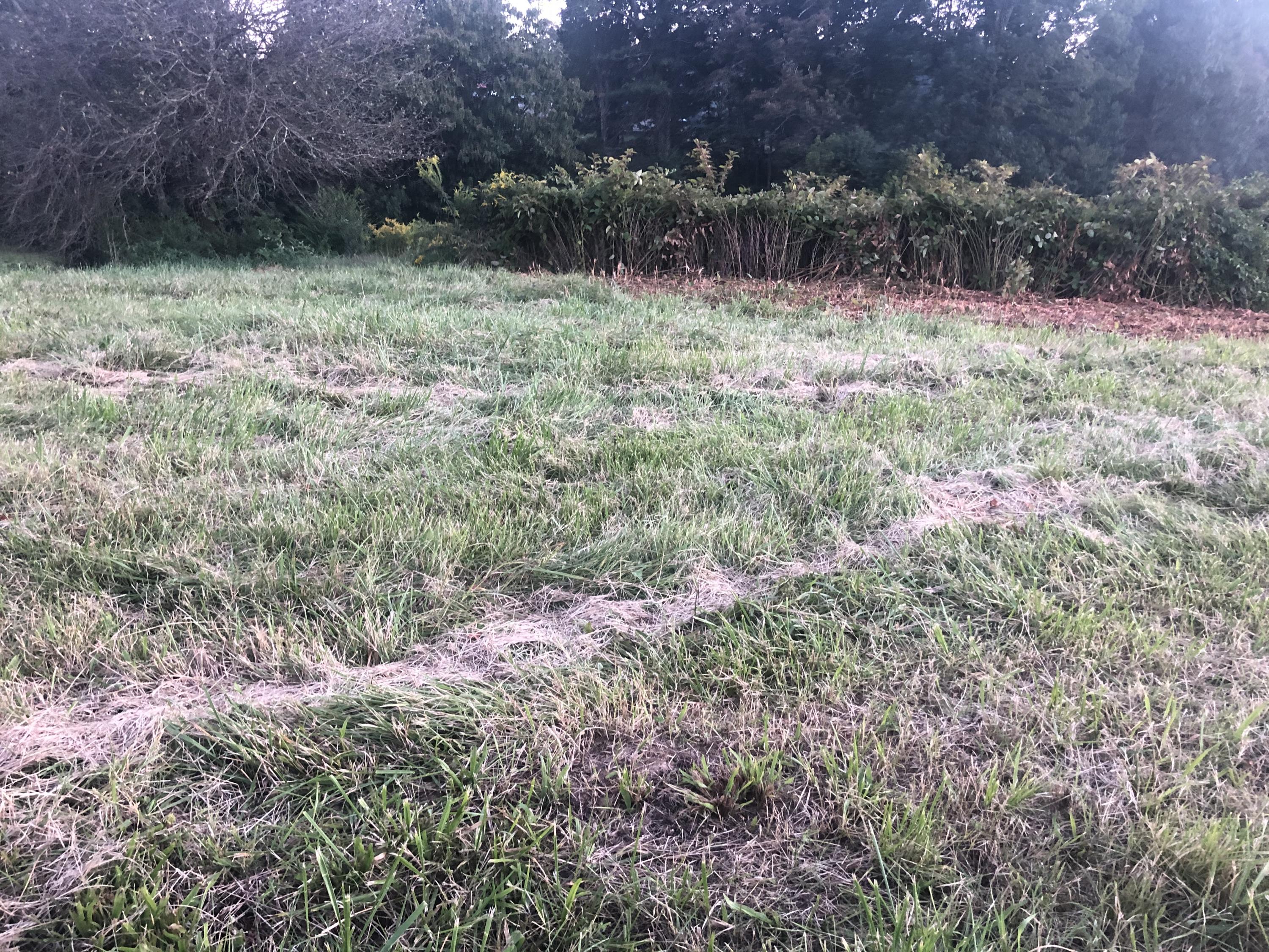 Tbd Kitzmiller Road Gray, TN 37615 - Photo 2 of 4 Kitzmiller