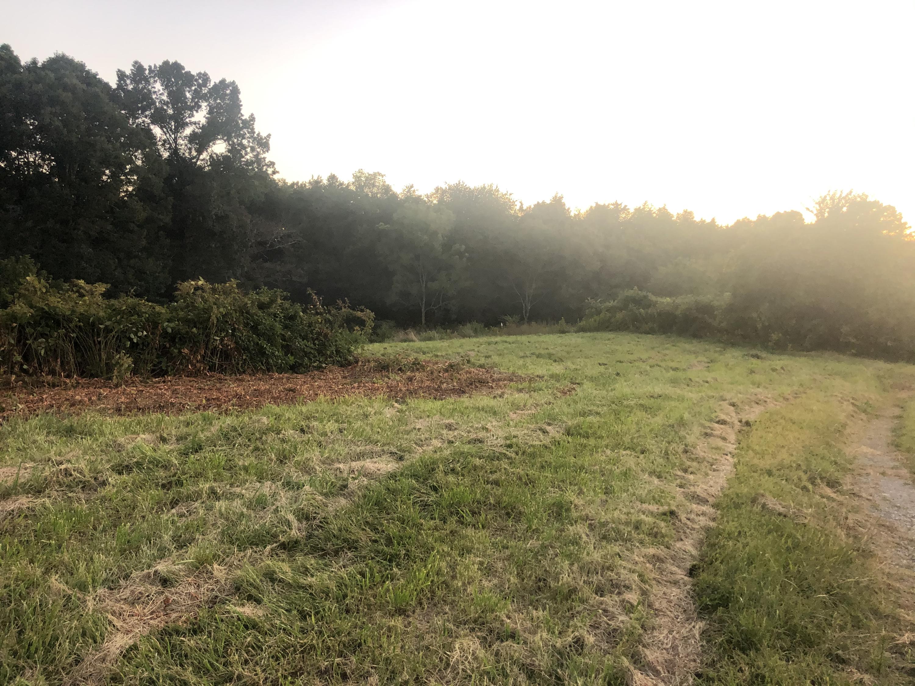 Tbd Kitzmiller Road Gray, TN 37615 - Photo 3 of 4 Kitzmiller