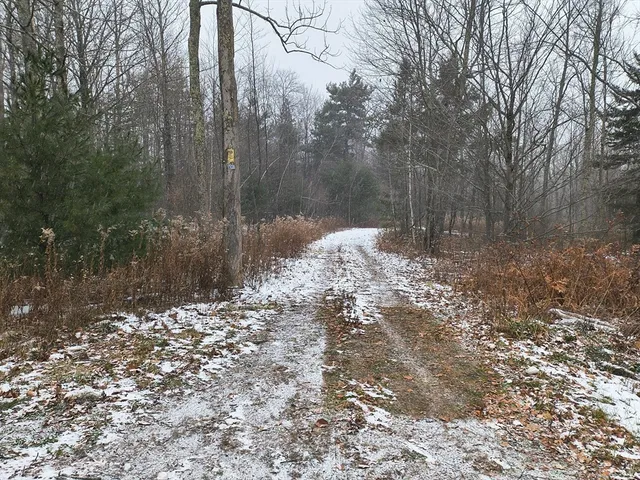 a view of a yard covered in snow