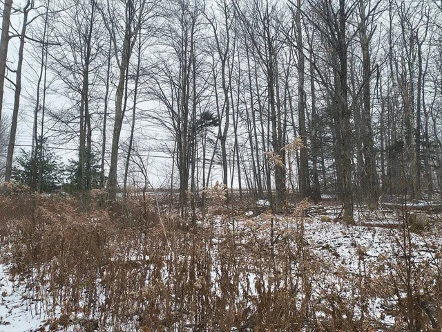 a view of house with trees in the background