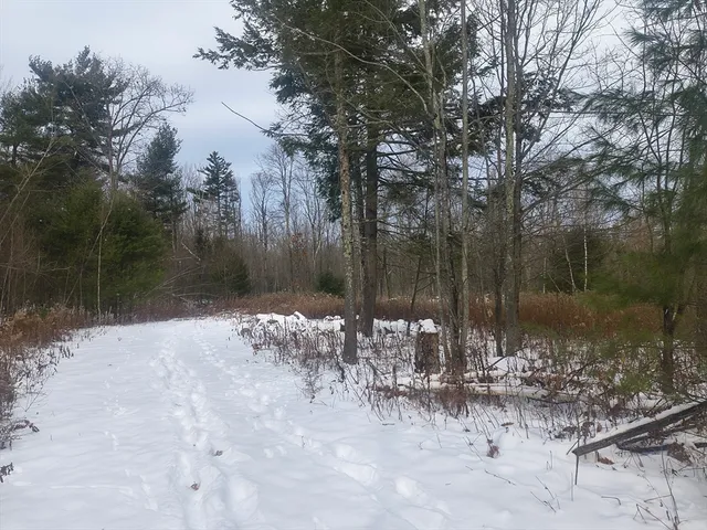 a backyard of a house with lots of green space and lake view