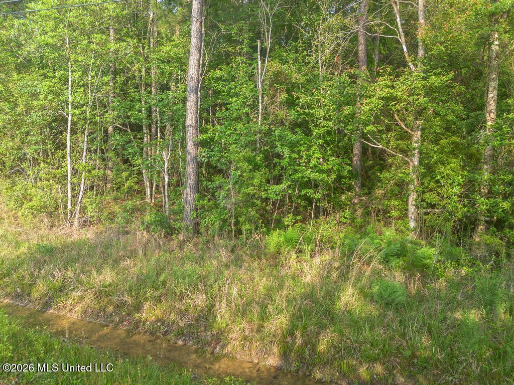 Boggy Road Vancleave, MS 39565 - Photo 11 of 13 DJI_0610