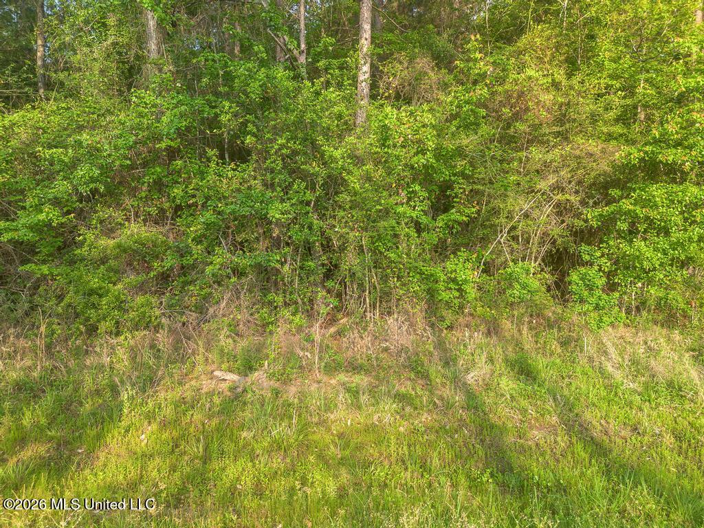 Boggy Road Vancleave, MS 39565 - Photo 12 of 13 DJI_0611