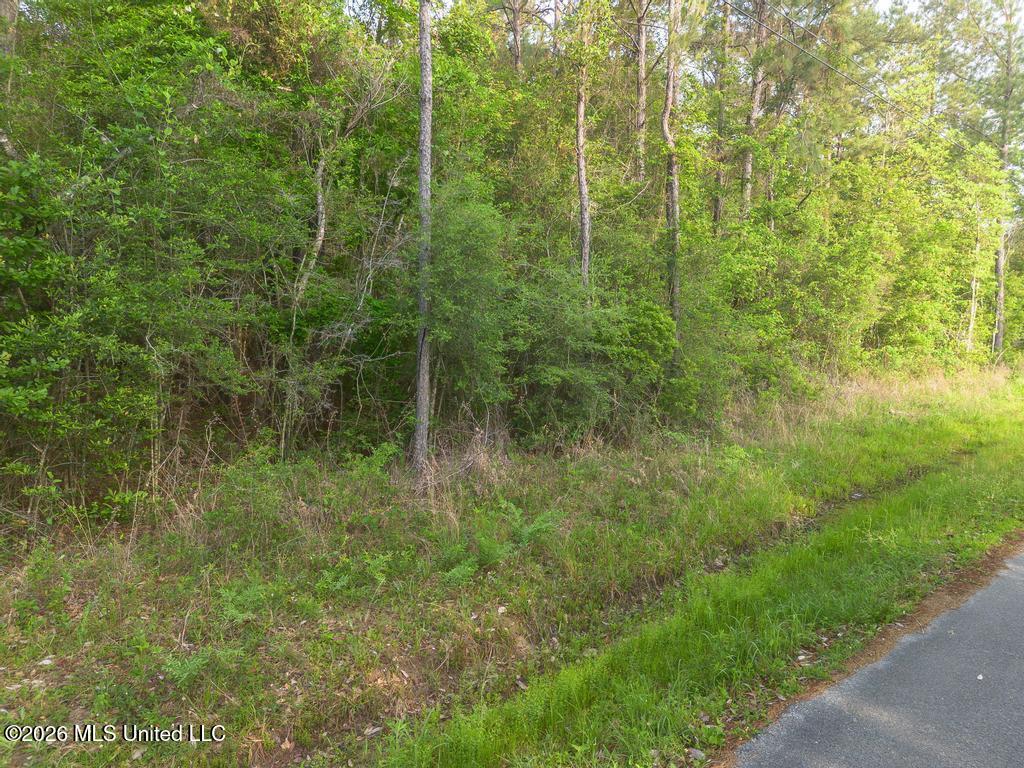 Boggy Road Vancleave, MS 39565 - Photo 13 of 13 DJI_0612