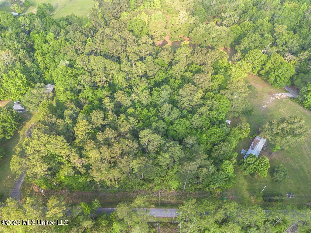 Boggy Road Vancleave, MS 39565 - Photo 3 of 13 DJI_0599