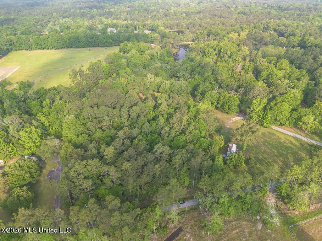 Boggy Road Vancleave, MS 39565 - Photo 4 of 13 DJI_0601