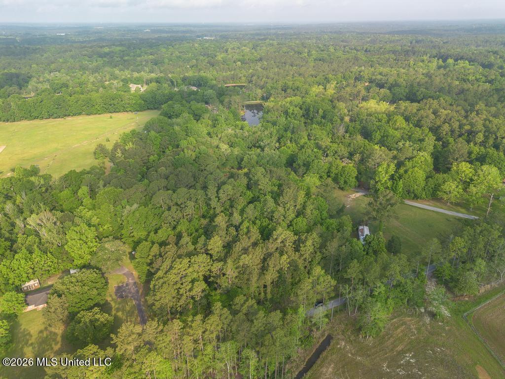 Boggy Road Vancleave, MS 39565 - Photo 5 of 13 DJI_0602