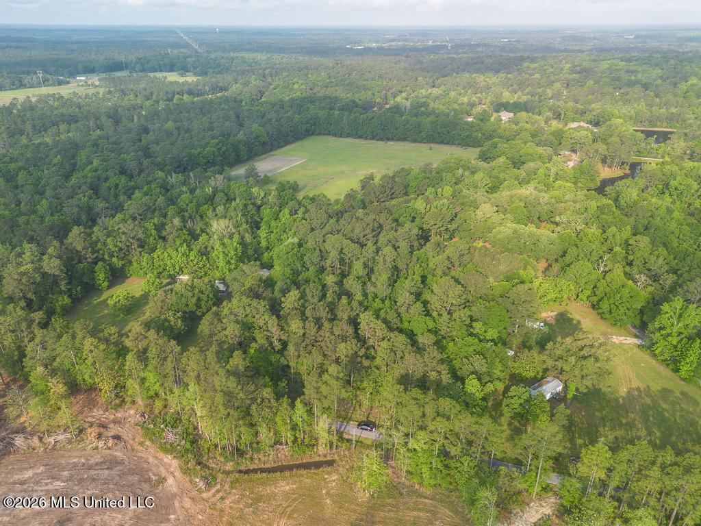 Boggy Road Vancleave, MS 39565 - Photo 6 of 13 DJI_0604