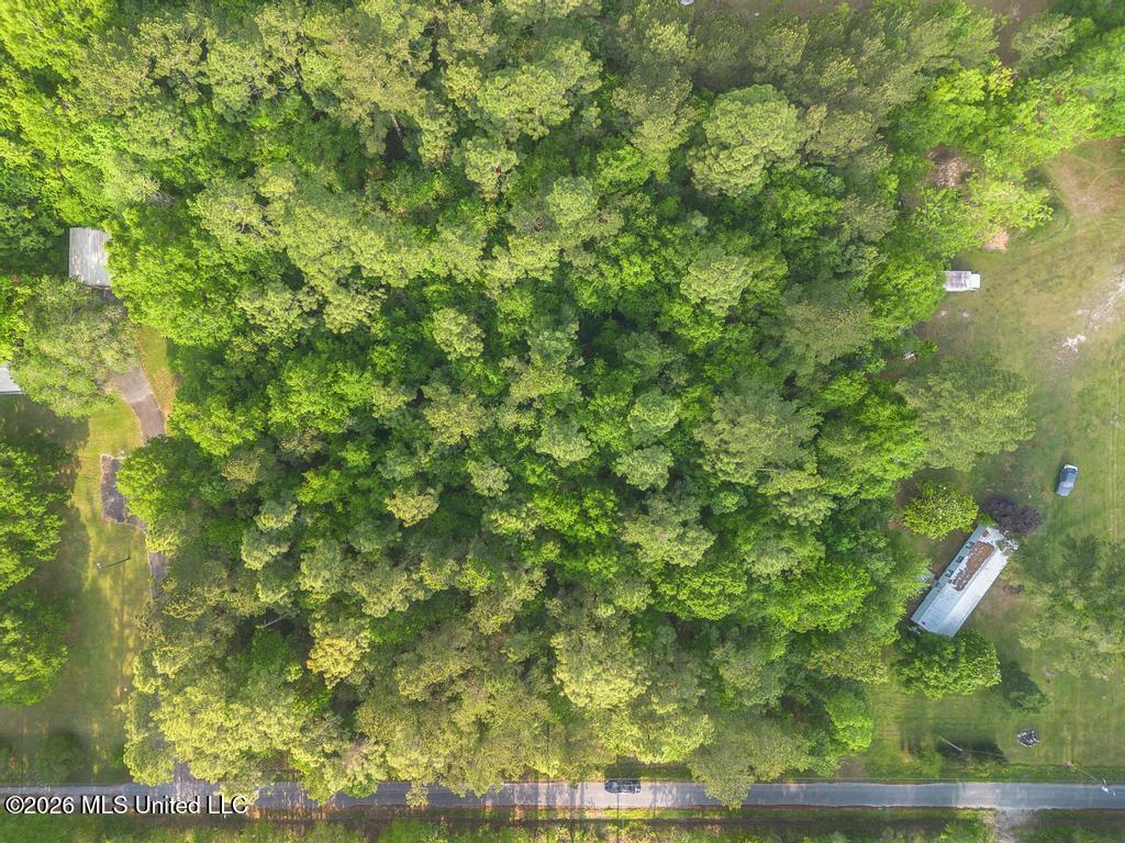 Boggy Road Vancleave, MS 39565 - Photo 7 of 13 DJI_0605