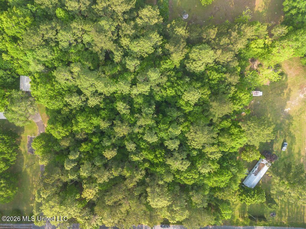 Boggy Road Vancleave, MS 39565 - Photo 8 of 13 DJI_0606