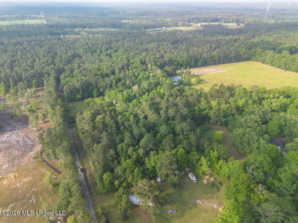 Boggy Road Vancleave, MS 39565 - Photo 9 of 13 DJI_0608