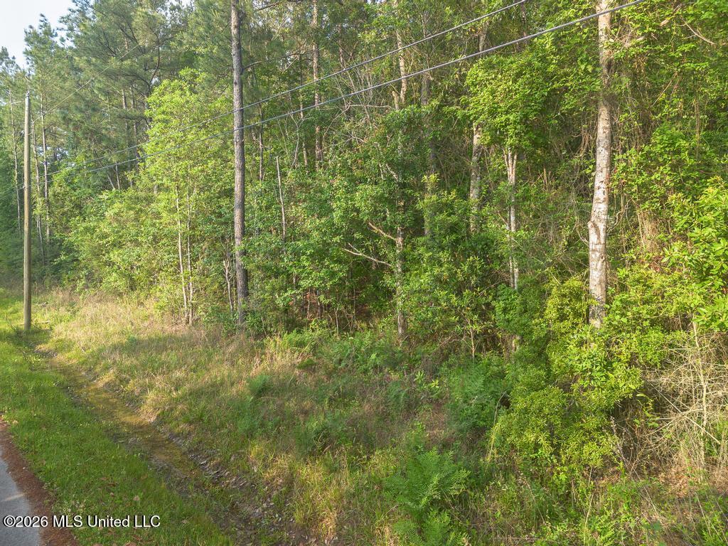Boggy Road Vancleave, MS 39565 - Photo 10 of 13 DJI_0609