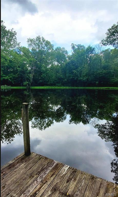 262 Greenstreet Road Beaufort, MO 63013 - Photo 7 of 8