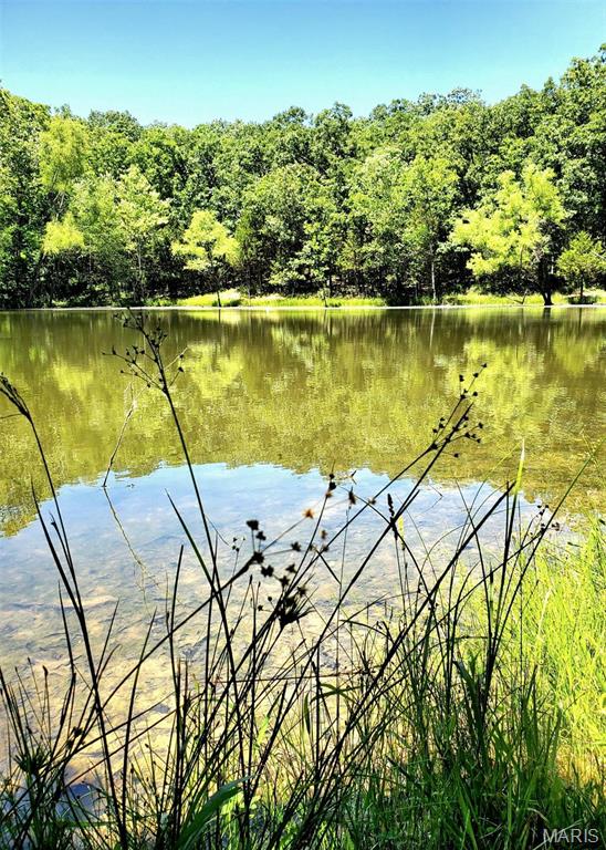 262 Greenstreet Road Beaufort, MO 63013 - Photo 8 of 8