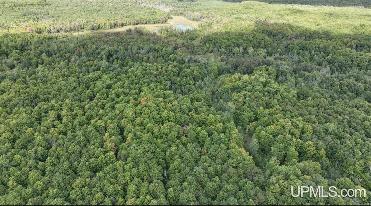 E12696 H-58 Road Shingleton, MI 49884 - Photo 4 of 12