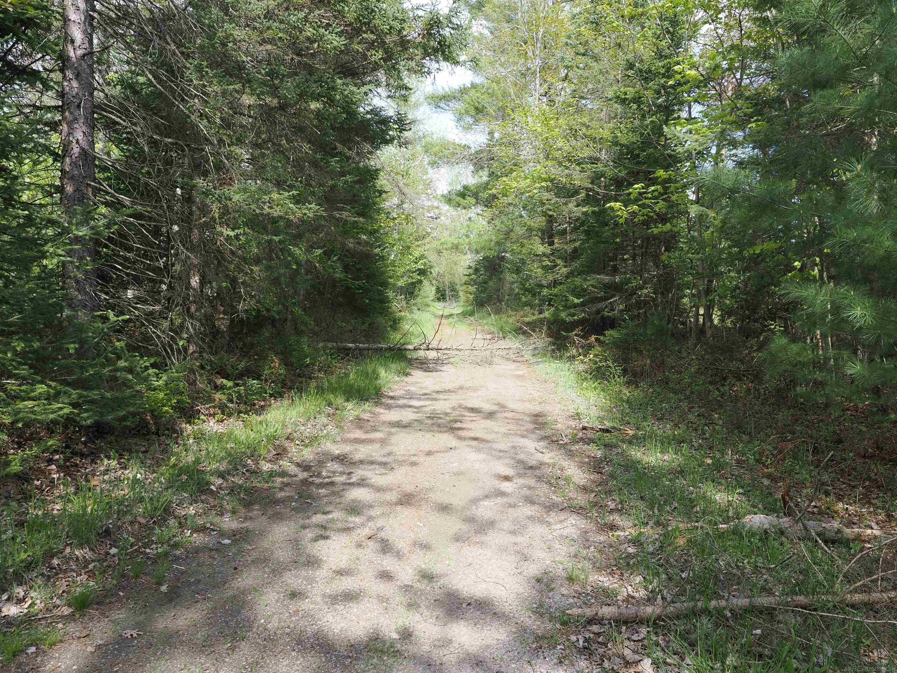 4011 Sandall Road Alpena, MI 49707 - Photo 37 of 73