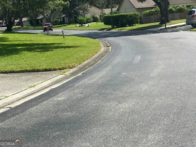 a park with lots of trees and plants