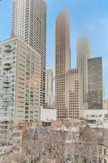 $495,000 | 100 East Bellevue Place, Unit 7C, Chicago, IL 60611