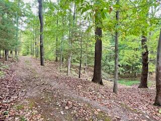 73350 Brooks Martin Road McArthur, OH 45651 - Photo 3 of 40 IMG_5293