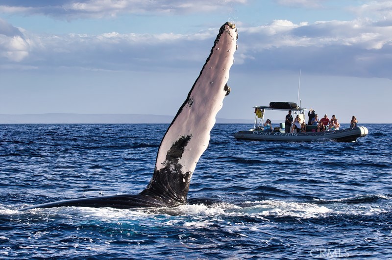 32321 Azores Road Dana Point, CA 92629 - Photo 43 of 46 a view of entryway