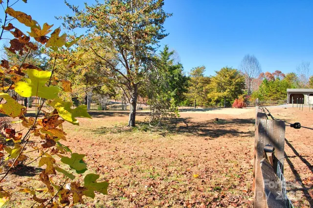 a view of a yard with trees