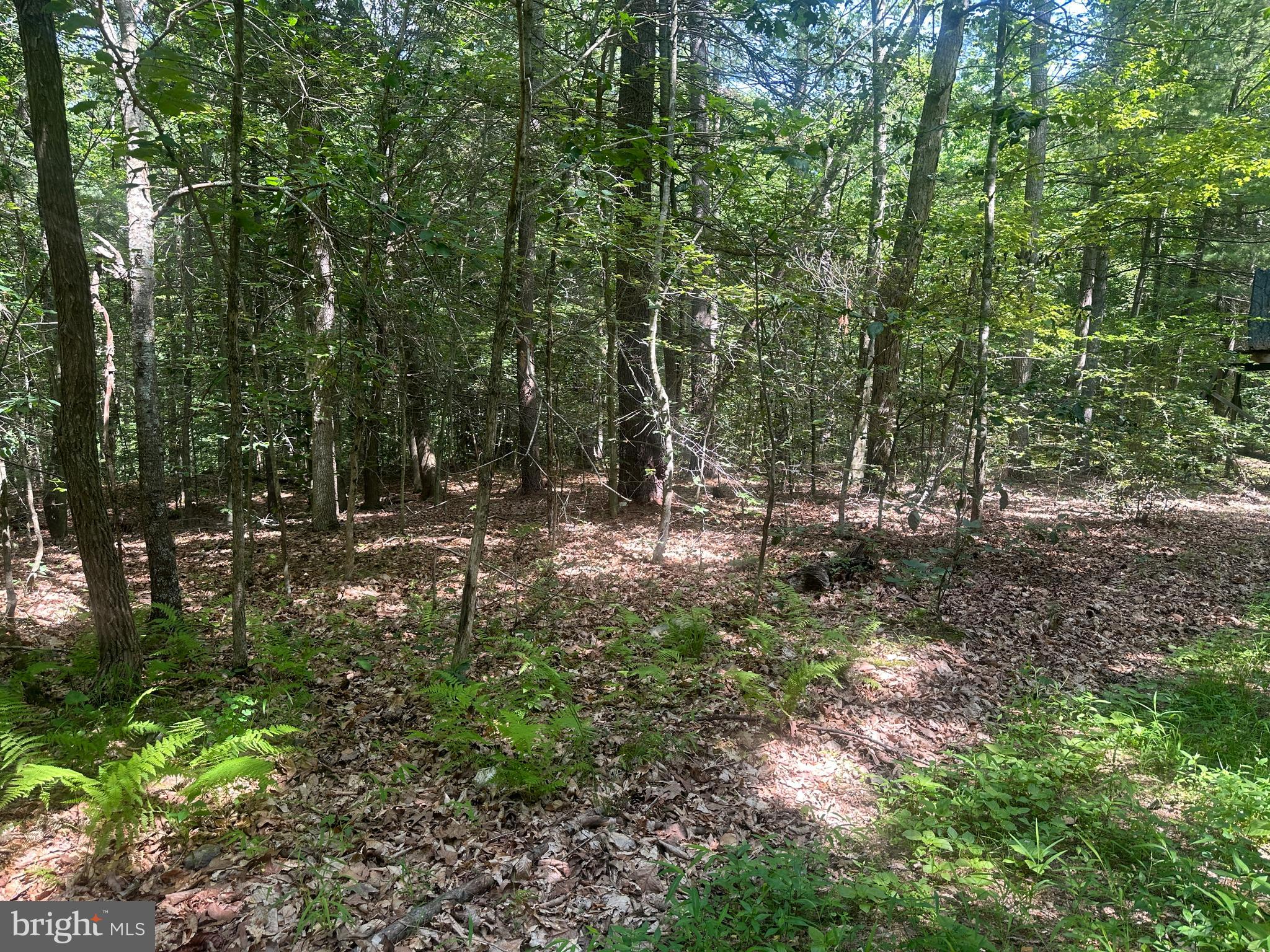 14110 Indian Springs Road Big Pool, MD 21711 - Photo 20 of 30