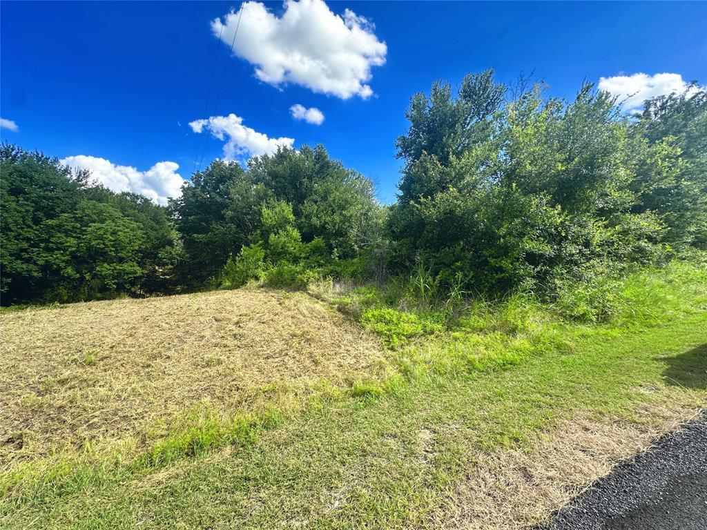 47-79 Bluffview Estates Road Corsicana, TX 75109 - Photo 5 of 20